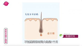 萬人精選 強脈沖脫毛儀——實用與高效的脫毛首選